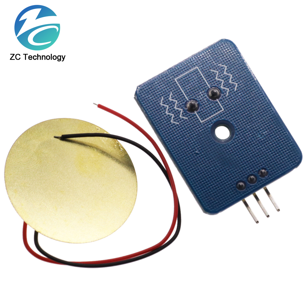 DIY KIT 3.3V/5V Ceramic Piezo  - Diy Analog Electronics 리뷰 및 가격